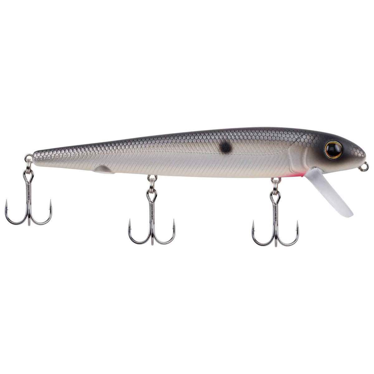 Berkley Surge Shad Shallow Diving Crankbait Berkley Surge Shad Shallow Diving Crankbait