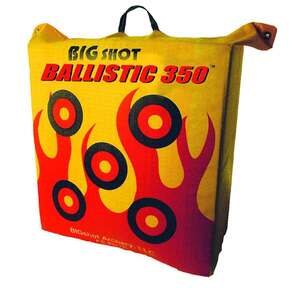 BIGshot Ballistic 350 Bag Target