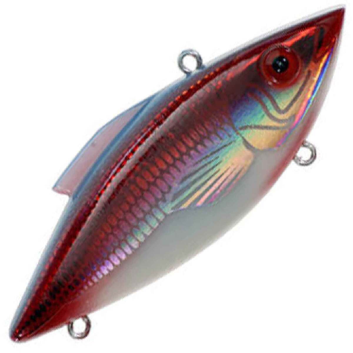 Shad Rattle Trap Rat-L-Trap Mini Trap Lipless Crankbait | Sportsman's Warehouse