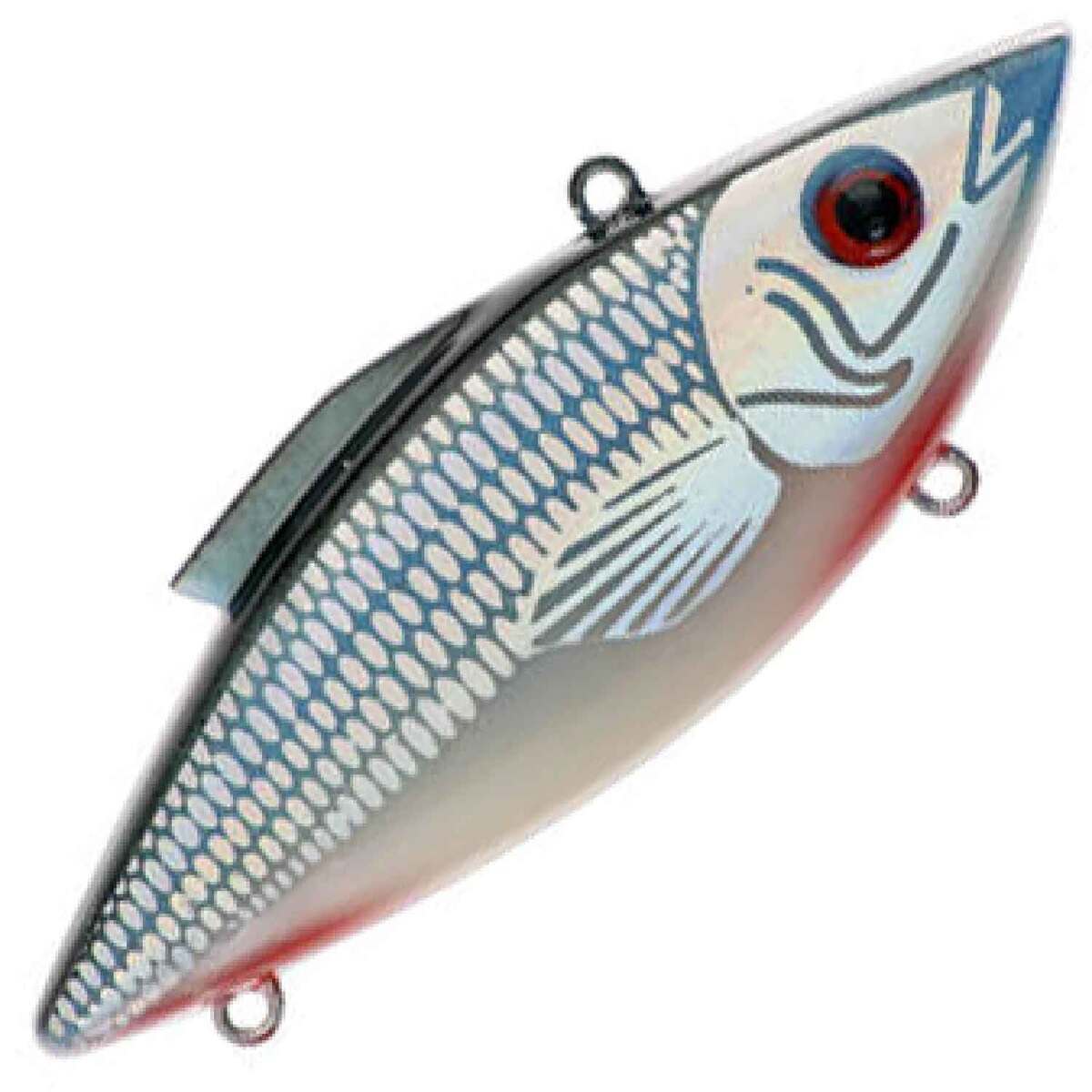 Shad Rattle Trap Rat-L-Trap Mini Trap Lipless Crankbait | Sportsman's Warehouse