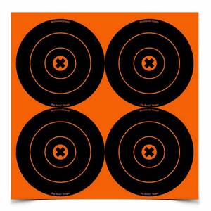 Birchwood Casey Big Burst 6in Bullseye Target