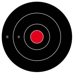 Birchwood Casey Dirty Bird 8in Bull's Eye Shooting Target
