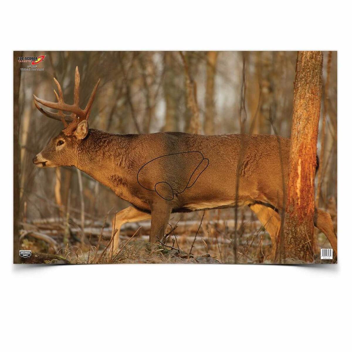 Birchwood Casey EZE-Scorer 23x35in Whitetail Deer Target - 2 Pack Birchwood Casey EZE-Scorer 23x35in Whitetail Deer Target - 2 Pack