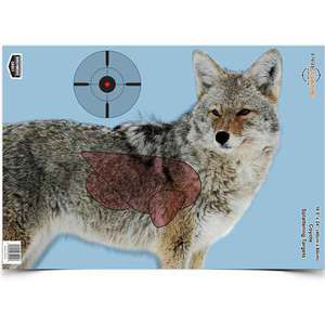 Birchwood Casey Pregame Coyote Target - 3 Pack