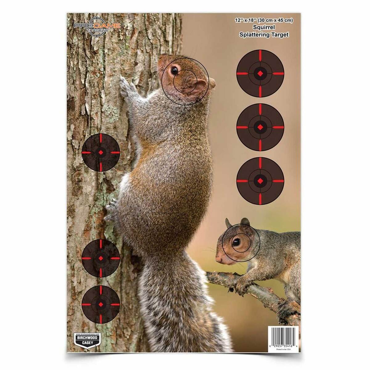 Birchwood Casey Pregame Squirrel Paper Target - 8 Pack Birchwood Casey Pregame Squirrel Paper Target - 8 Pack