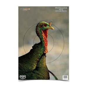Birchwood Casey Pregame Turkey Target - 8 Pack
