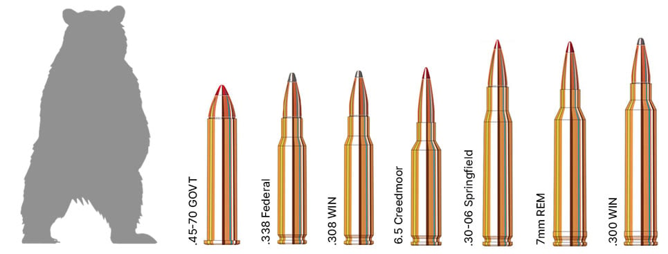 Black Bear Hunting Calibers