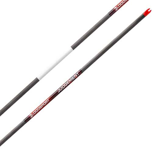 Bloodsport Judgement 350 spine Carbon Arrows – 12 Pack – Black