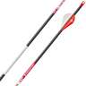 Bloodsport Justice 350 Spine Carbon Arrows - 6 Pack - Gray