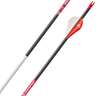 Bloodsport Prosecutor 350 Spine Carbon Arrows - 6 Pack - Gray