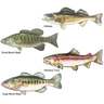 Bones Outdoors Profile Fish Decals - Small Mouth Bass