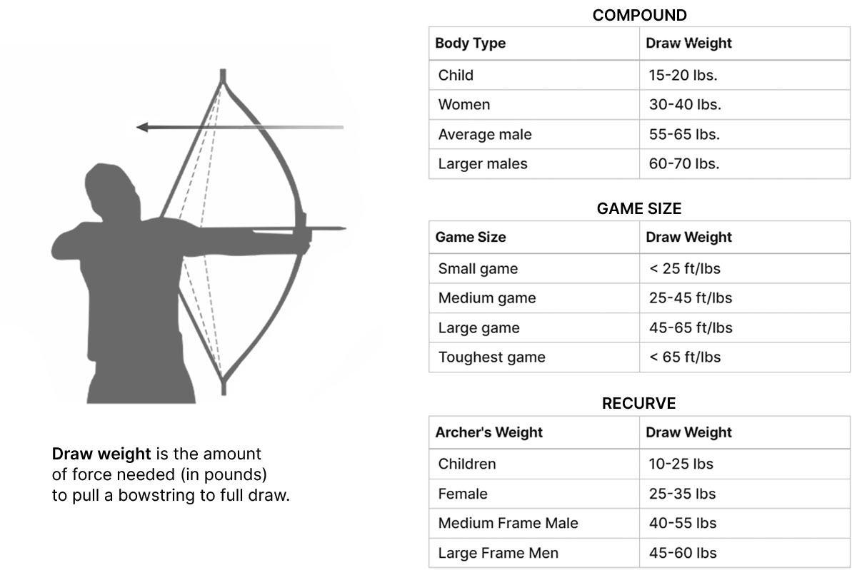 Compound and Recurve Bow Draw Weight Charts