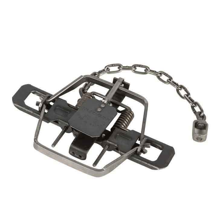 6 Bridger # 3 DOGLESS Offset 2 Coil Spring Foothold Traps Coyote Fox Trapping for sale online 
