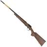 Browning T-Bolt Sporter Blued Bolt Action Rifle - 22 WMR (22 Mag) - 22in  - Brown