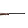 Browning X-Bolt Gold Medallion Blued Walnut Bolt Action Rifle - 300 Winchester Magnum - 26in - Brown