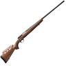 Browning X-Bolt Hunter Long Range Blued Walnut Bolt Action Rifle - 7mm Remington Magnum - 26in - Brown