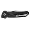 Buck Knives Sprint 3.125 inch Folding Knife - Black - Black
