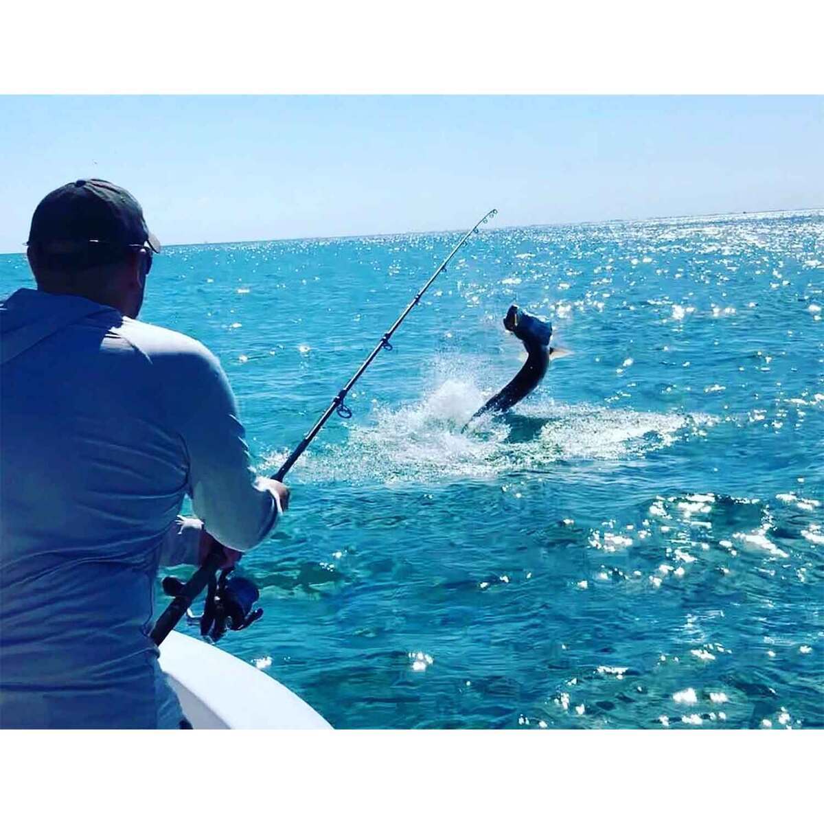 Bull Bay Rods Brute Force Tarpon Saltwater Spinning Rod - 7ft 11in ...