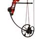 Cajun Bowfishing Sucker Punch Right Hand Ready-to-Fish Compound Bow Package - Red/ Black