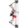 Cajun Shore Runner EXT Bow Package Bowfishing Bow - Red