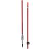 Cajun Wasp Bowfishing Arrow With Sting-A-Ree Point - Red