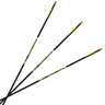 Carbon Express D-Stroyer 500 spine Carbon Arrows - 12 Pack - Black/Yellow
