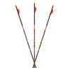 Carbon Express D-Stroyer MX Hunter 350 Carbon Arrows - 6 Pack - Red