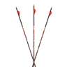 Carbon Express D-Stroyer MX Hunter 400 Carbon Arrows - 6 Pack - Red