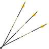 Carbon Express D-Stroyer SD 300 spine Carbon Arrows - 12 Pack - Black/Yellow