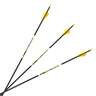 Carbon Express D-Stroyer SD 350 spine Carbon Arrows - 12 Pack - Black/Yellow
