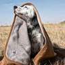 Carhartt 60x45 Dog Blanket - Carhartt Brown - Carhartt Brown 59.5in L x 45.5in W
