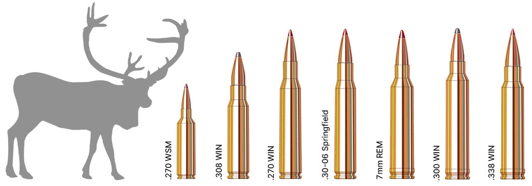 Caribou Hunting Calibers