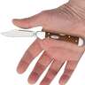 Case Mini CopperLock 2.72 inch Folding Knife - Chestnut