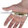 Case Peach Seed Jig Medium Stockman 2.57 inch Folding Knife - Amber