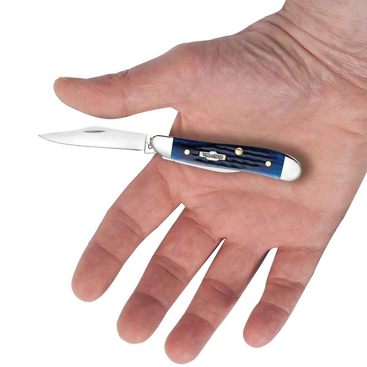 Case Peanut 2.1 inch Folding Knife - Blue Bone Case Peanut 2.1 inch Folding Knife - Blue Bone