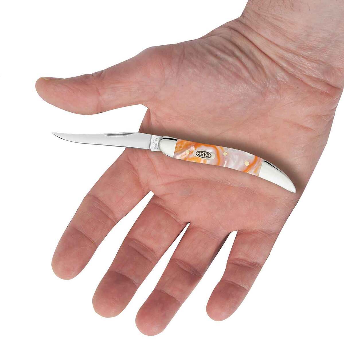 Case Tennessee Small Texas Toothpick 2.25 inch Folding Knife - Tennessee Case Tennessee Small Texas Toothpick 2.25 inch Folding Knife - Tennessee