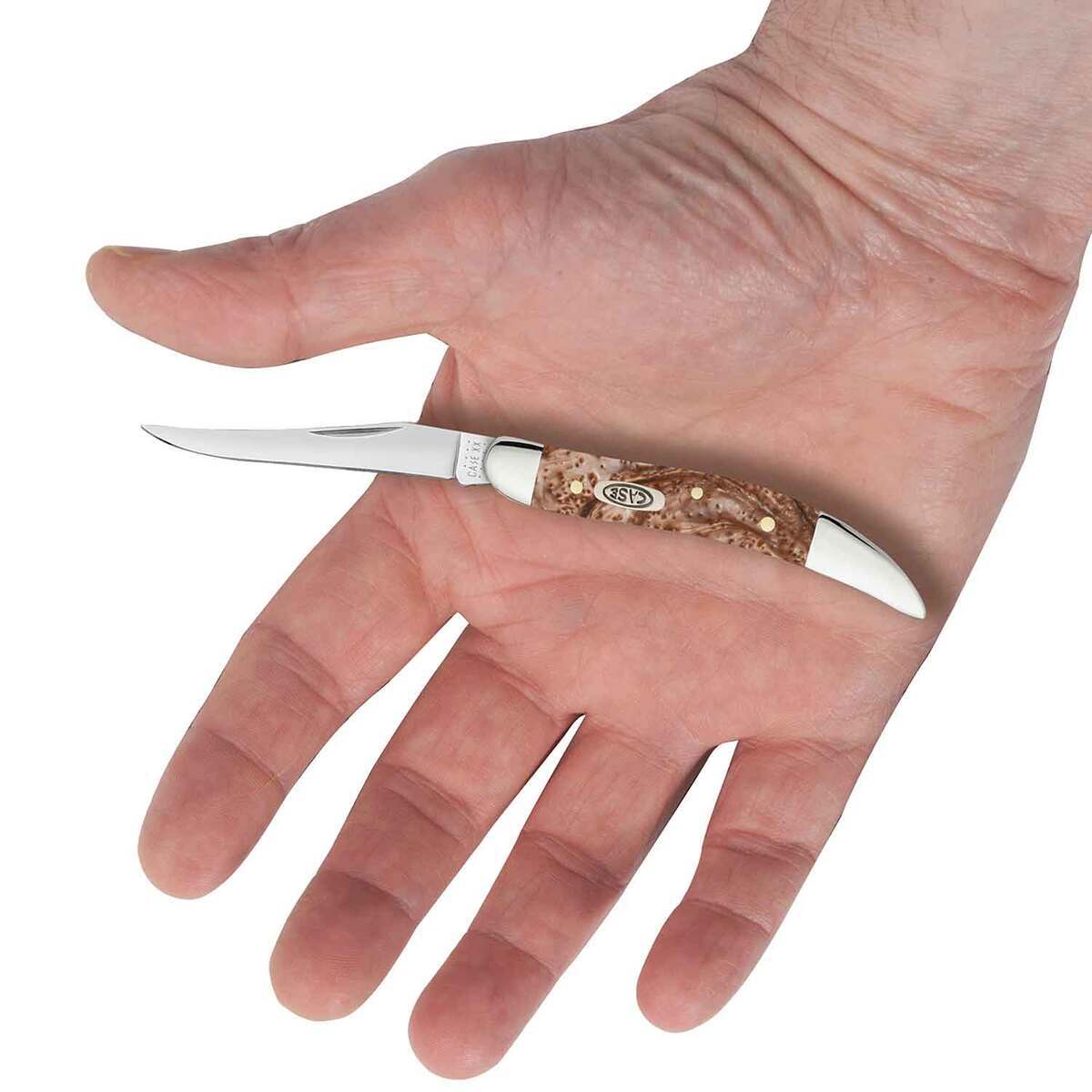 Case Whitetail Deer Small Texas Toothpick 2.25 inch Folding Knife - Whitetail Deer Case Whitetail Deer Small Texas Toothpick 2.25 inch Folding Knife - Whitetail Deer