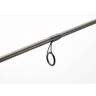 Cashion Fishing Rods Icon Spinning Rod