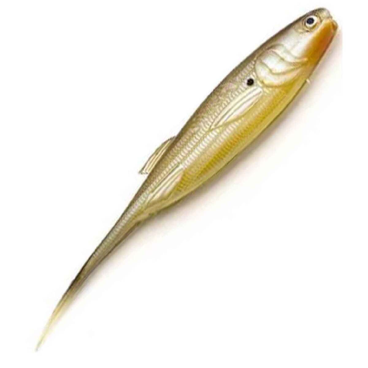 Castaic Baby Jerky J Straight Tail Soft Swimbait Castaic Baby Jerky J Straight Tail Soft Swimbait