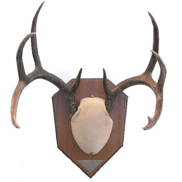 Game Processing Equipment Accessories Sportsman's Warehouse