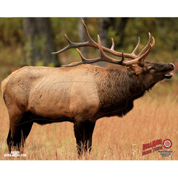 Elk Paper Target Archery Targets - 3D, Block, Bag, Paper | Sportsman's Warehouse