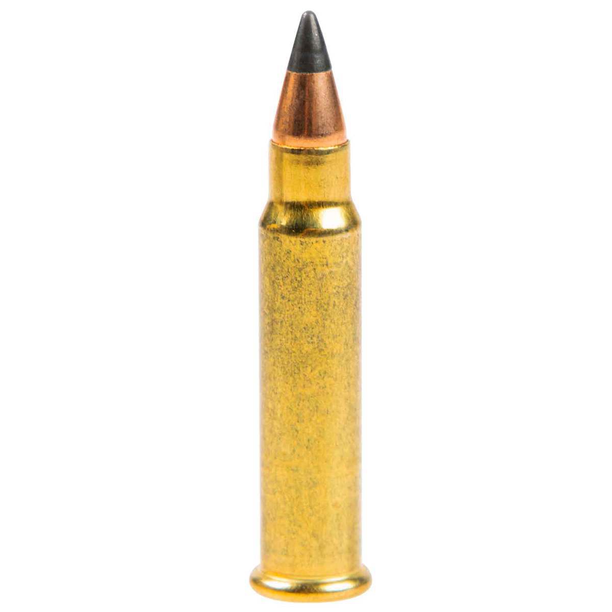 CCI A17 17 HMR 17gr Varmint Tip Rimfire Ammo - 50 Rounds | Sportsman's ...