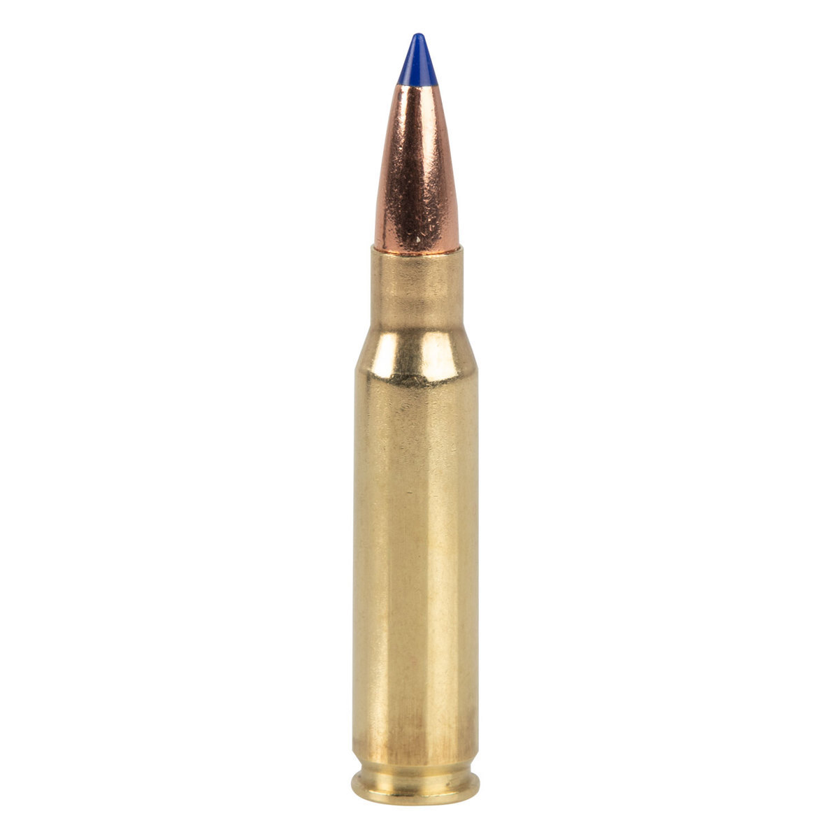 Rifle Ammunition