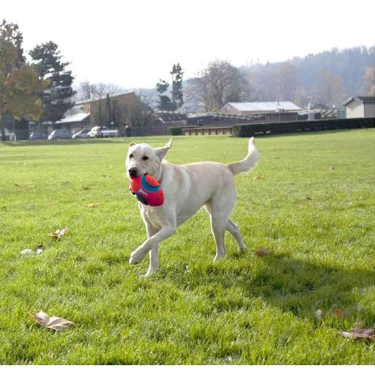 Chuckit Fumble Fetch Ball - Small - Orange Chuckit Fumble Fetch Ball - Small - Orange