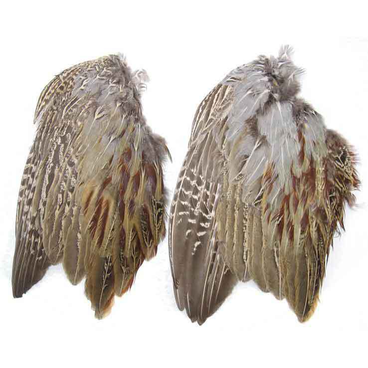 Classic T Design Pheasant Wings 2pk. Classic T Design Pheasant Wings 2pk.