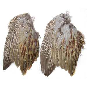 Classic T Design Pheasant Wings 2pk