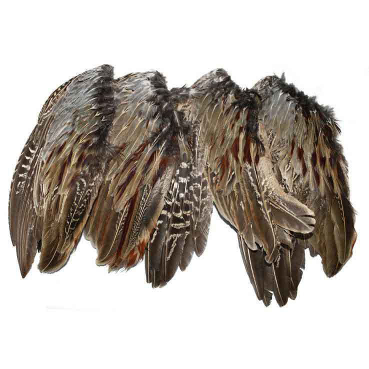 Classic T Design Pheasant Wings 4pk. Classic T Design Pheasant Wings 4pk.