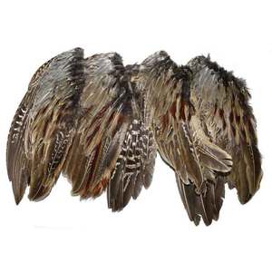 Classic T Design Pheasant Wings 4pk