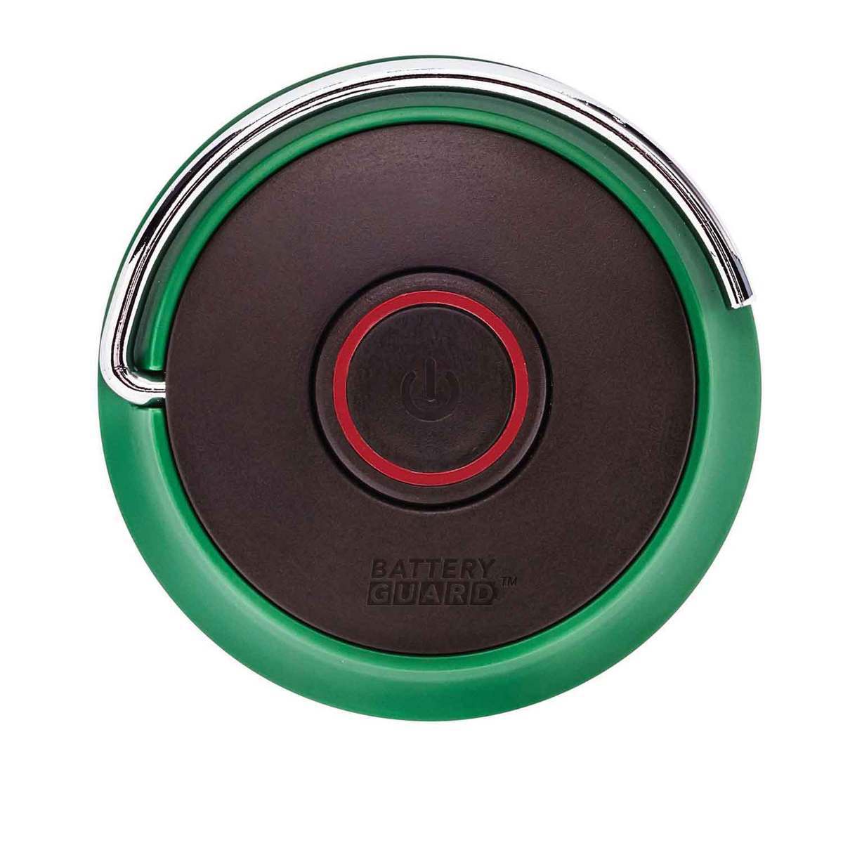 Coleman 200 Lumen LED Mini Lantern with BatteryGuard - Green - Green Coleman 200 Lumen LED Mini Lantern with BatteryGuard - Green - Green