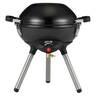 Coleman 4-in-1 Portable Propane Gas Cooking System